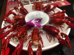 -大龍燚火锅(东葛店)