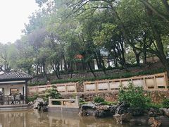 -古琴台