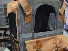 -天使宠物医院·犬猫分诊(彩虹店)