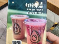 -油梨树AVOCADO TREE(望京店)