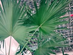 -沈阳师范大学-图书馆