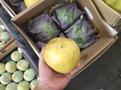 -西郊国际农产品交易中心