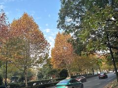 -阿里中心·杭州Z空间