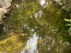 -趵突泉景区