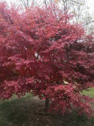 -大望京儿童游乐场