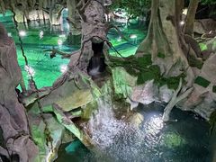 -福州罗源湾海洋世界旅游区