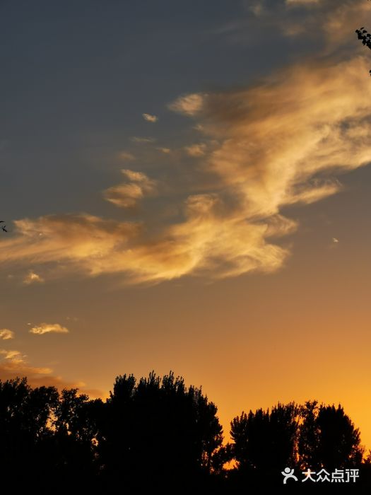 什刹海-后海图片