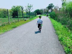 -百翠山居.家飨餐厅