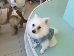 -怪兽屋·羊驼·猫咖·狗咖(俊华广场店)