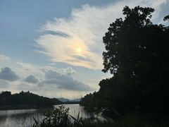 -江心屿景区