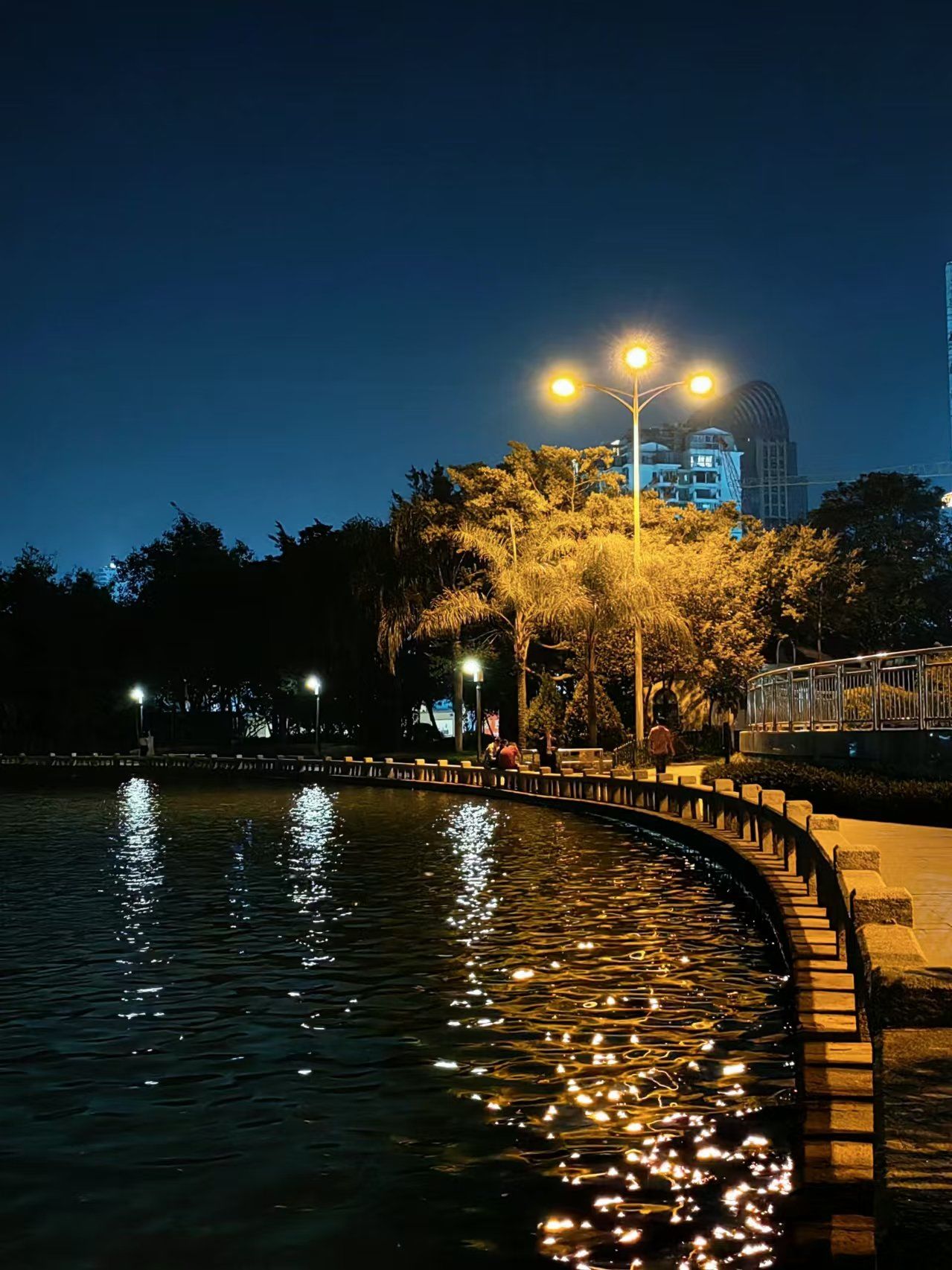 夜色中的美景