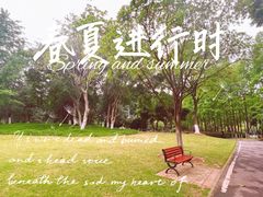 -后襄河公园