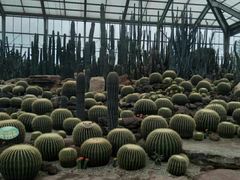 -南通洲际绿博园