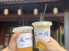 -天一阁博物院
