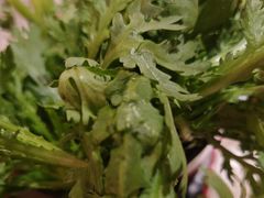 -晓宇重庆火锅(西安荟聚店)