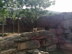 -无锡动物园·太湖欢乐园