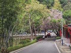 -火炉山森林公园
