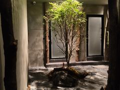 -森SPA·泰式按摩·精油Massage(宝安中心店)