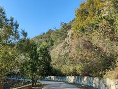 -北京西山国家森林公园