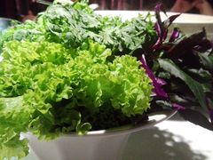 -梧桐餐厅(泉城路店)