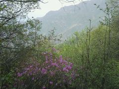 -野三坡百草畔景区