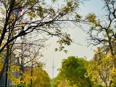 -陈记锅巴菜(五大道店)