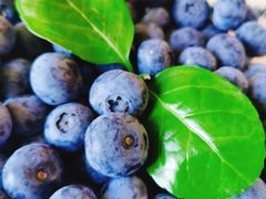 -好利来(桃源店)