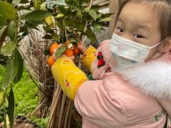 -前小桔亲子创意农场·草莓采摘·露营烧烤