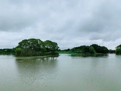 -梁鸿国家湿地公园