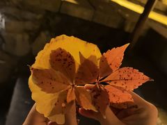 -郭守敬纪念馆