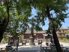 -上海青龙寺