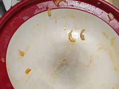 -鸽子侯·家宴·平价海鲜(绿地店)