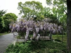 -上海吴淞炮台湾国家湿地公园