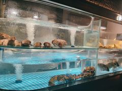 -阿五黄河大鲤鱼(建业路店)