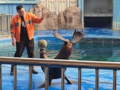 -华夏文旅海洋公园