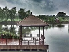 -溱湖国家湿地公园