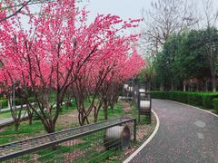 -洨河生态公园