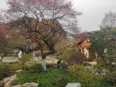 -杭州植物园