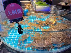 -山海•蒸汽活海鲜自助(皇庭广场店)