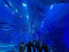 -成都浩海立方海洋公园