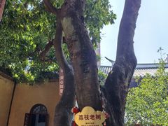 -福州开元寺