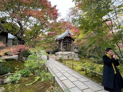 -常寂光寺
