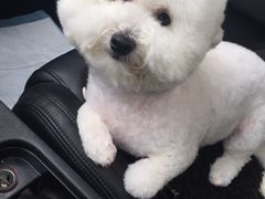 -1013 PET SHOP 宠物商店(近铁城市广场店)