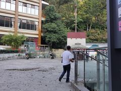 -大金鹰园