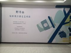 -野萃山·潮汕厚果汁(十亩地店)