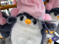 -南戴河国际娱乐中心