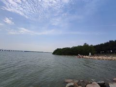 -宝安西湾红树林湿地公园