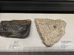 -贵州省地质博物馆