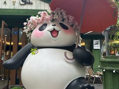 -轩客会(熊猫书店)