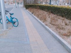 -敦煌市博物馆